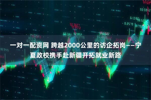 一对一配资网 跨越2000公里的访企拓岗——宁夏政校携手赴新疆开拓就业新路
